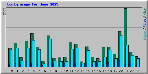 Hourly usage for June 2025