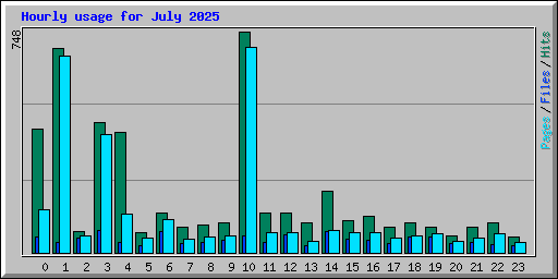 Hourly usage for July 2025
