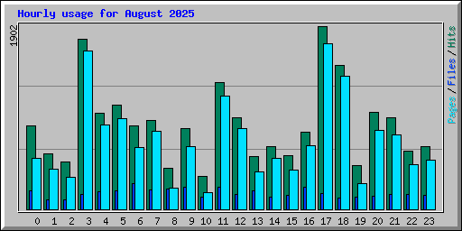 Hourly usage for August 2025