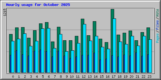 Hourly usage for October 2025