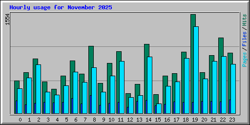 Hourly usage for November 2025