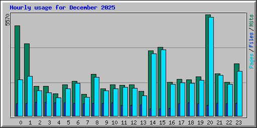 Hourly usage for December 2025