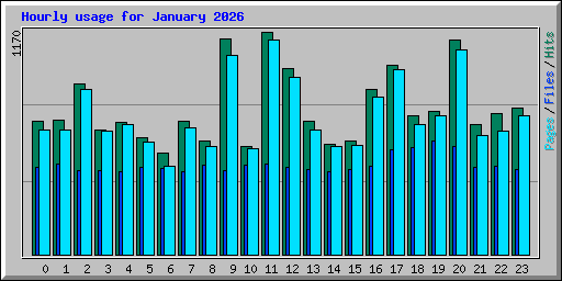 Hourly usage for January 2026